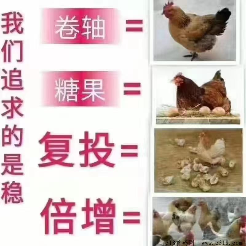 趣步首码火热上线！卷轴玩法+零撸模式，2024年赚米新风口！